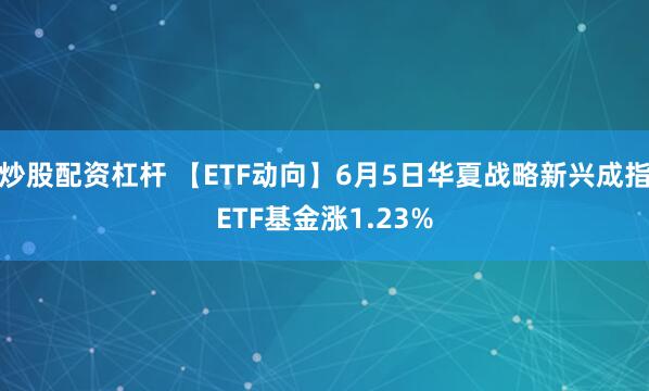炒股配资杠杆 【ETF动向】6月5日华夏战略新兴成指ETF基金涨1.23%