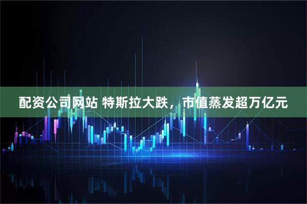 配资公司网站 特斯拉大跌，市值蒸发超万亿元